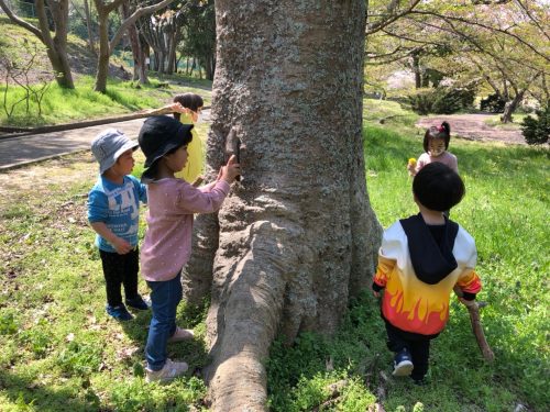 わかば公園遊び